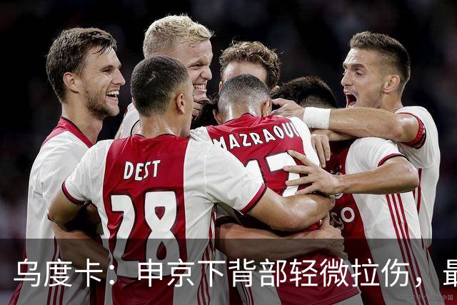 乌度卡：申京下背部轻微拉伤，最多缺席几场