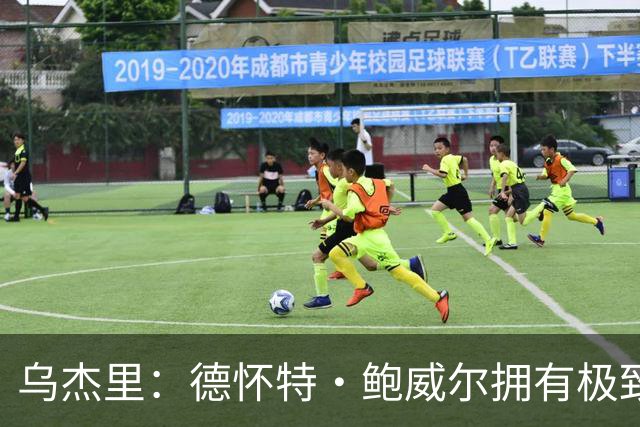 乌杰里：德怀特·鲍威尔拥有极致的专业素养 达拉斯永远是他的家