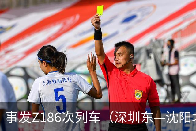 事发Z186次列车（深圳东—沈阳北）！乘客下车匆忙，不慎将装满白银、金包银首饰的行李箱遗忘在列车上……
