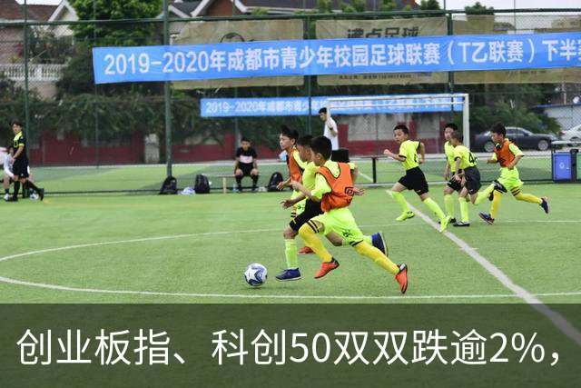 创业板指、科创50双双跌逾2%，长鑫科技开盘跳水，反抽即将来临