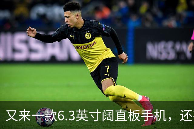 又来一款6.3英寸阔直板手机，还有6500mAh大电池