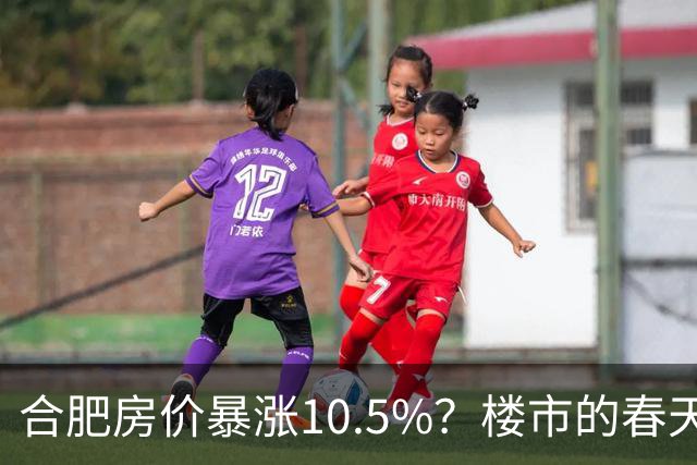 合肥房价暴涨10.5%？楼市的春天来了？