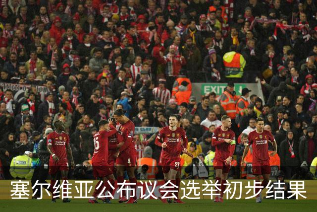 塞尔维亚公布议会选举初步结果