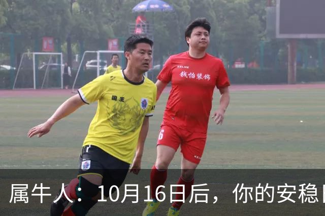 属牛人：10月16日后，你的"安稳日子"要暂时中断