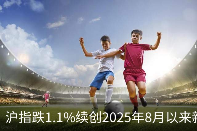 沪指跌1.1%续创2025年8月以来新低，网友：纪录就是用来打破的