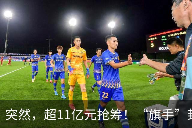 突然，超11亿元抢筹！“旗手”封死涨停，发生了什么？