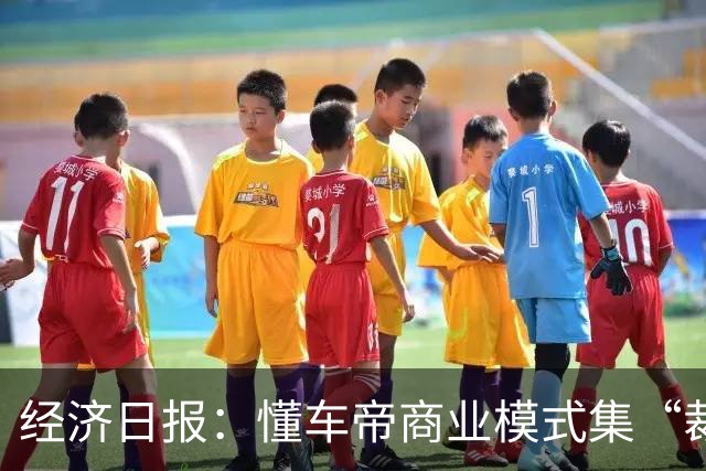经济日报：懂车帝商业模式集“裁判员”和“运动员”于一身，存在利益冲突，很难建立公信力