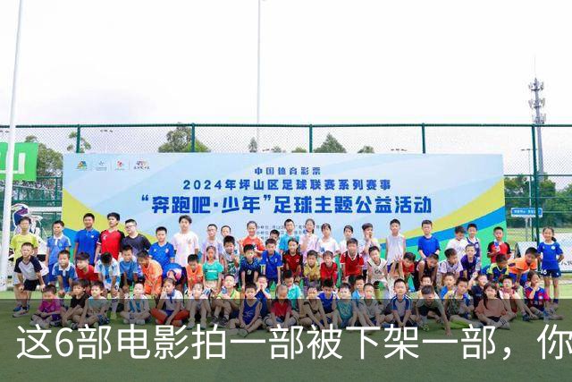 这6部电影拍一部被下架一部，你有幸看过哪几部？